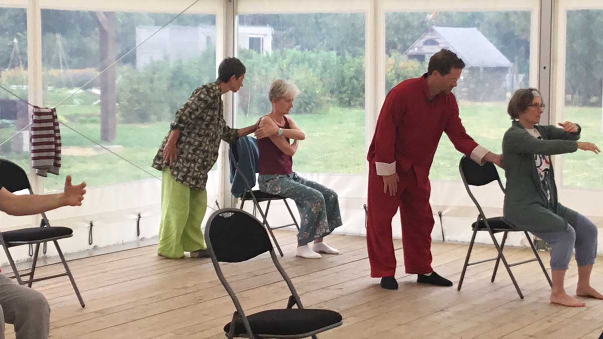 Stage Tai Chi Chuan Qi Gong Feldenkrais
