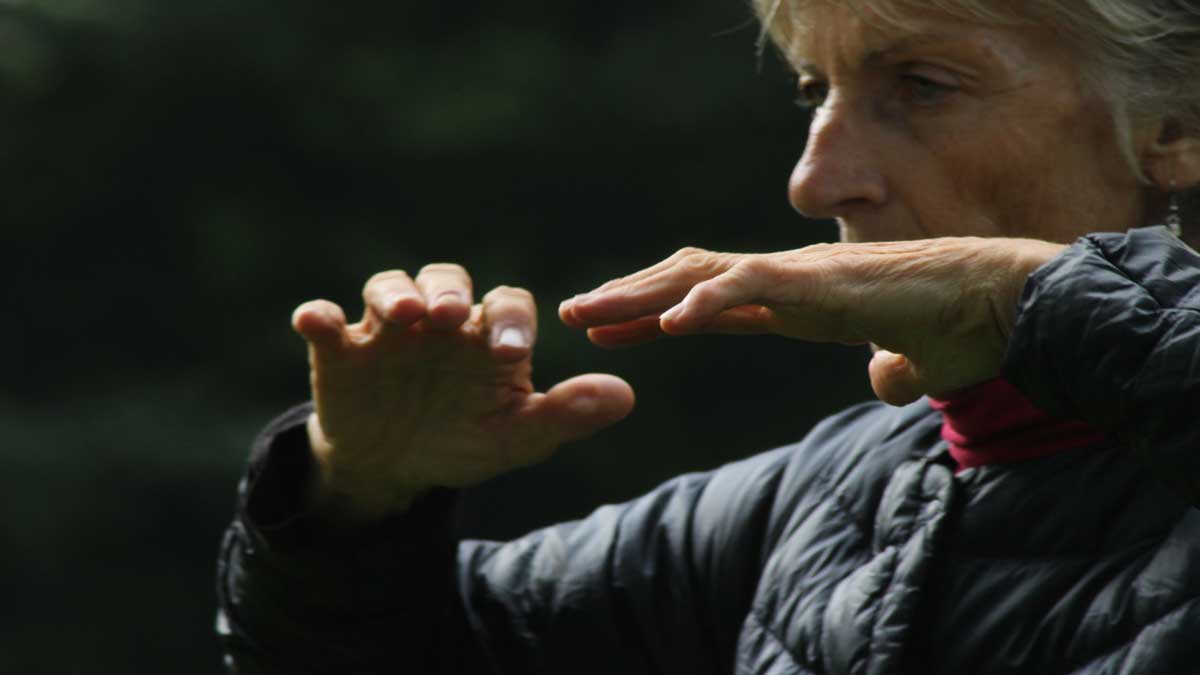 Cours individuels de Tai Chi Chuan